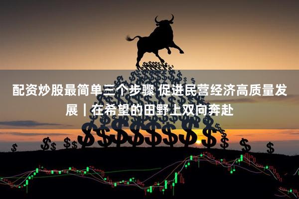 配资炒股最简单三个步骤 促进民营经济高质量发展｜在希望的田野上双向奔赴