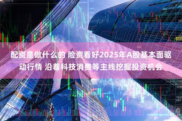 配资是做什么的 险资看好2025年A股基本面驱动行情 沿着科技消费等主线挖掘投资机会