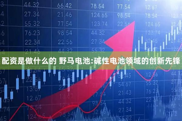 配资是做什么的 野马电池:碱性电池领域的创新先锋